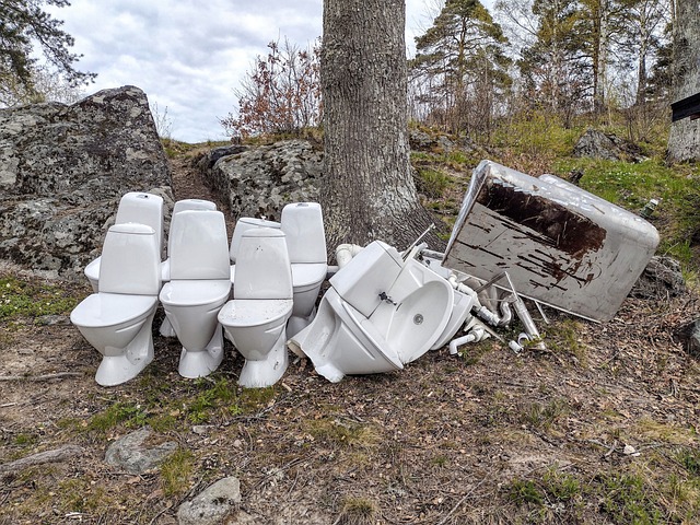 záchodové mísy v lese